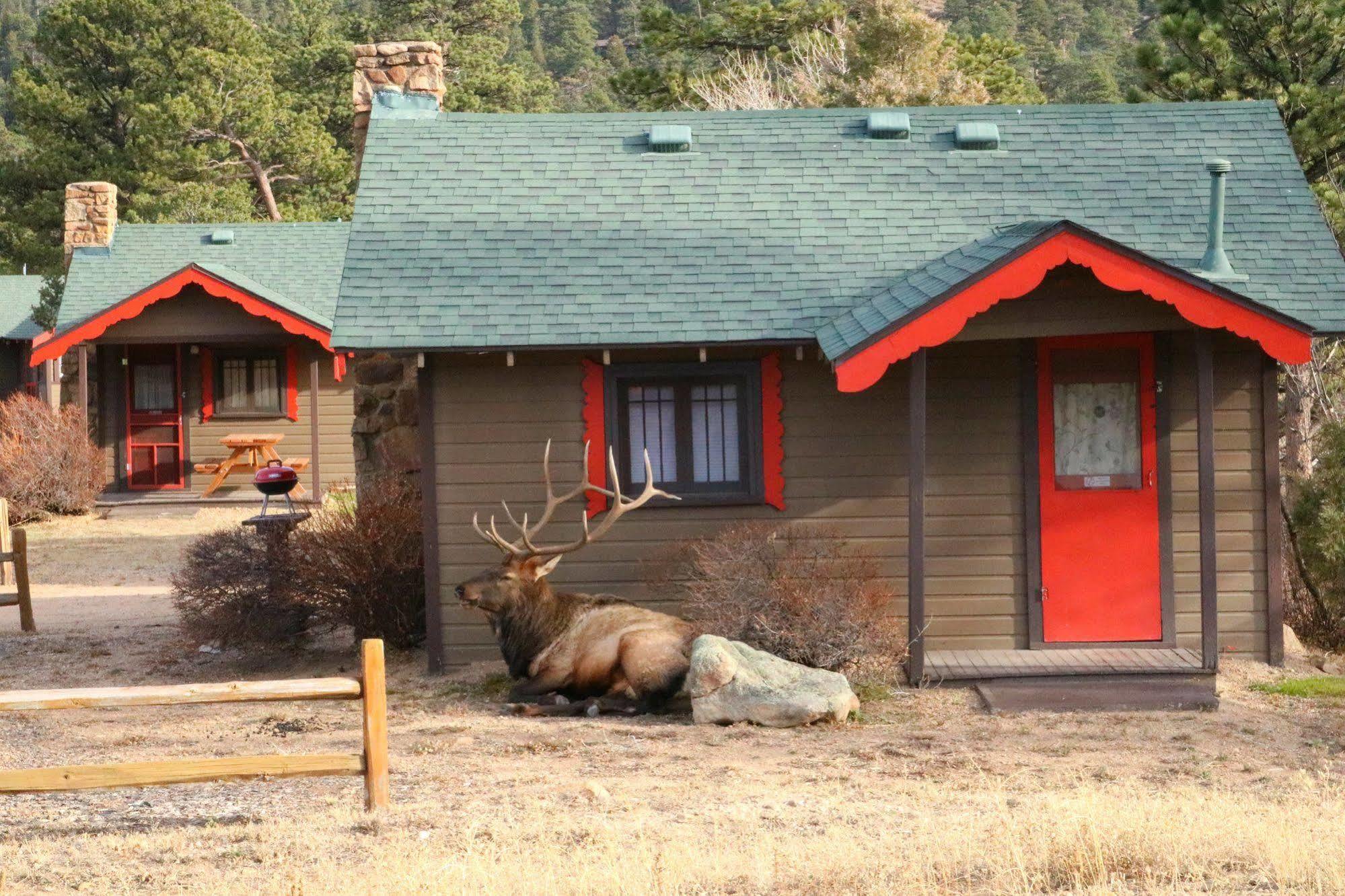 Tiny Town Cabins Estes Park Bagian luar foto